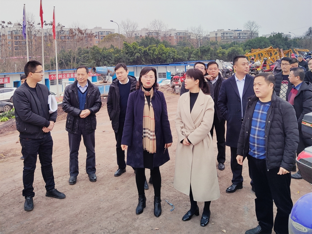 高新区管委会主任单鑫视察公司天问苑项目建设情况