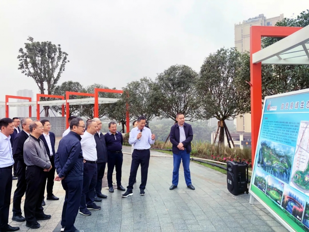 市委副书记、市长何树平带队现场督导科创中心和高峰公园项目推进情况