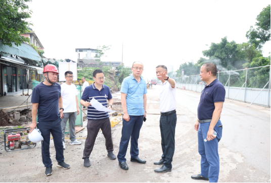 高新区管委会党工委副书记李善鸿带队调研板仓大道沙坪段道路工程项目